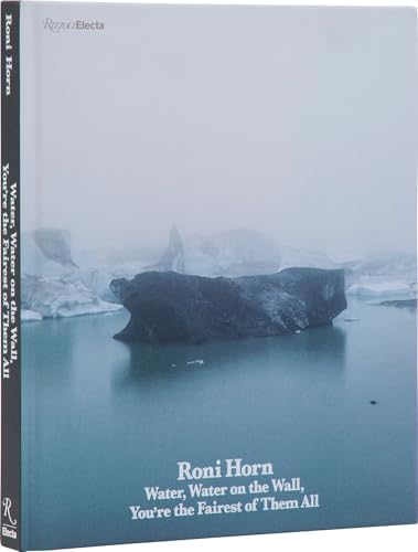 Amazon.com: Island Zombie: Iceland Writings: 9780691208145: Horn